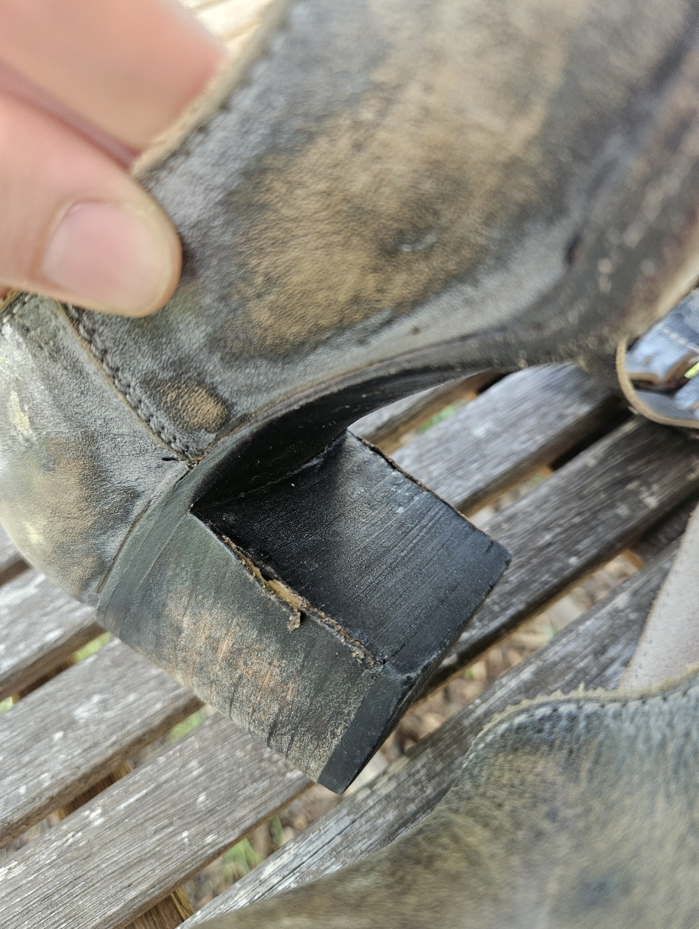 Freebird Randi OG - Picture 5 of 5